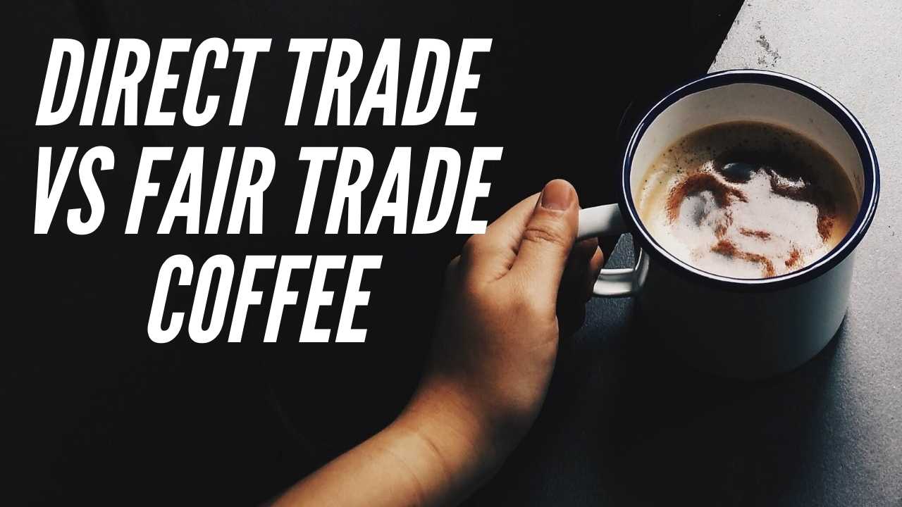Direct Trade vs Fair Trade Coffee