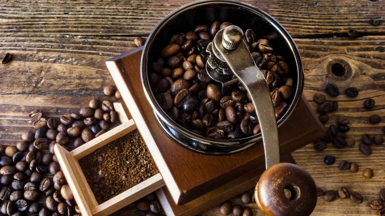 best coffee grinder under 50